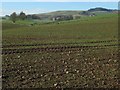 View west from track along field edge near Duns in the Scottish Borders