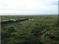 Salt marsh at Denhall Quay