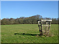 Field north of Quarrington Lane