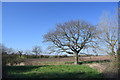 On the footpath north of Lauriston Farm