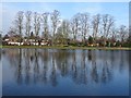 Trees reflected in Stowe Pool