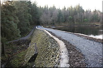 NX4465 : New Path on the Dam Wall, Kirroughtree Forest by Billy McCrorie