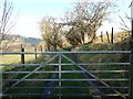 Farm track to Ty Cerrig