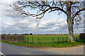 Field north of Cuddington Road