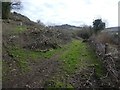 Wood removed while laying a hedge, near Langaford