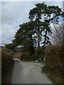 Road passing entrance to Hawson Farm