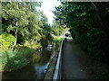 Path by the River Redlake (Bucknell)