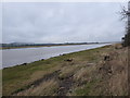 NX9968 : The tidal River Nith, near Gullsway by Christine Johnstone