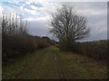 Lane from Hennymoor Lane towards Welbeck