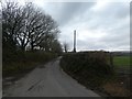 Bare trees on the road to Bowerdon