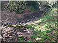 A stream in Churchill Green