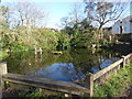 The duckpond at Fairseat