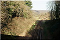 Railway Line Near Shere