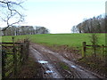 Muddy field entrance off the A162