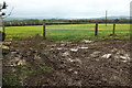 Mud, gate and field, Higher Boscarne Farm