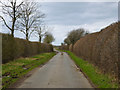 Lane towards Hogshaw