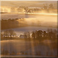 NT5631 : Winter farmland at Whitelee by Walter Baxter