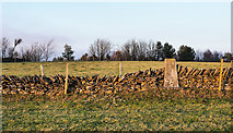 SE7190 : Trig point set into wall by Trevor Littlewood