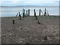 NX9959 : The old jetty, Carsethorn, exposed by Christine Johnstone