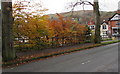 SO4593 : Autumn colours between trees, Sandford Avenue, Church Stretton by Jaggery