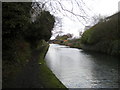 Walsall Canal, Great Bridge