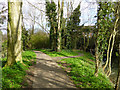 Riverside path, Buckingham