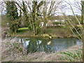 Broken weir,  River Great Ouse