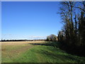 Stubble field and The Sewer, Kirkstead