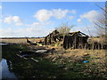 Derelict shed, Kirkstead