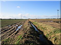 Drain near Tattershall