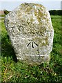 SW9546 : Old Guide Stone by the B3287, near Gargus Farm by Rosy Hanns