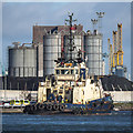 J3475 : The 'Svitzer Sussex' at Belfast by Mr Don't Waste Money Buying Geograph Images On eBay