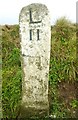 Old Milestone by the A395, west of Hallworthy