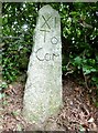 Replica Milestone by the A39, east of Badharlick