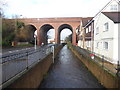 River Cray alongside Mill Brook Road