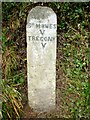 Old Milestone by the A3078, south west of Treworlas