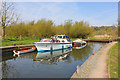 Boats at Thorpe Marshes