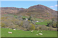 View near Porthmadog