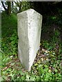 Old Milestone by the A393 in Comford