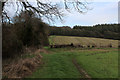 ST8713 : Wessex Ridgeway on Preston Hill by Chris Heaton