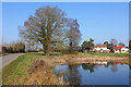 Pond at Tostock