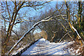 Old Railway Path, Swindon