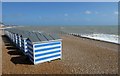 TQ8109 : Beach huts in Hastings by DS Pugh