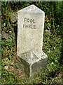 Old Milestone by Illogan Downs