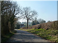 Road towards Biddesden