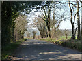 Road towards Biddesden