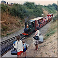 Walsingham arrival, 1983