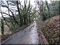 Heal fach yn Wernddu / Minor road at Wernddu