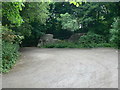 Ruins in Llanina Woods