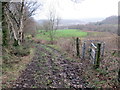 Llwybr ger Heol Ddu Newydd / Path near Heol Ddu Newydd